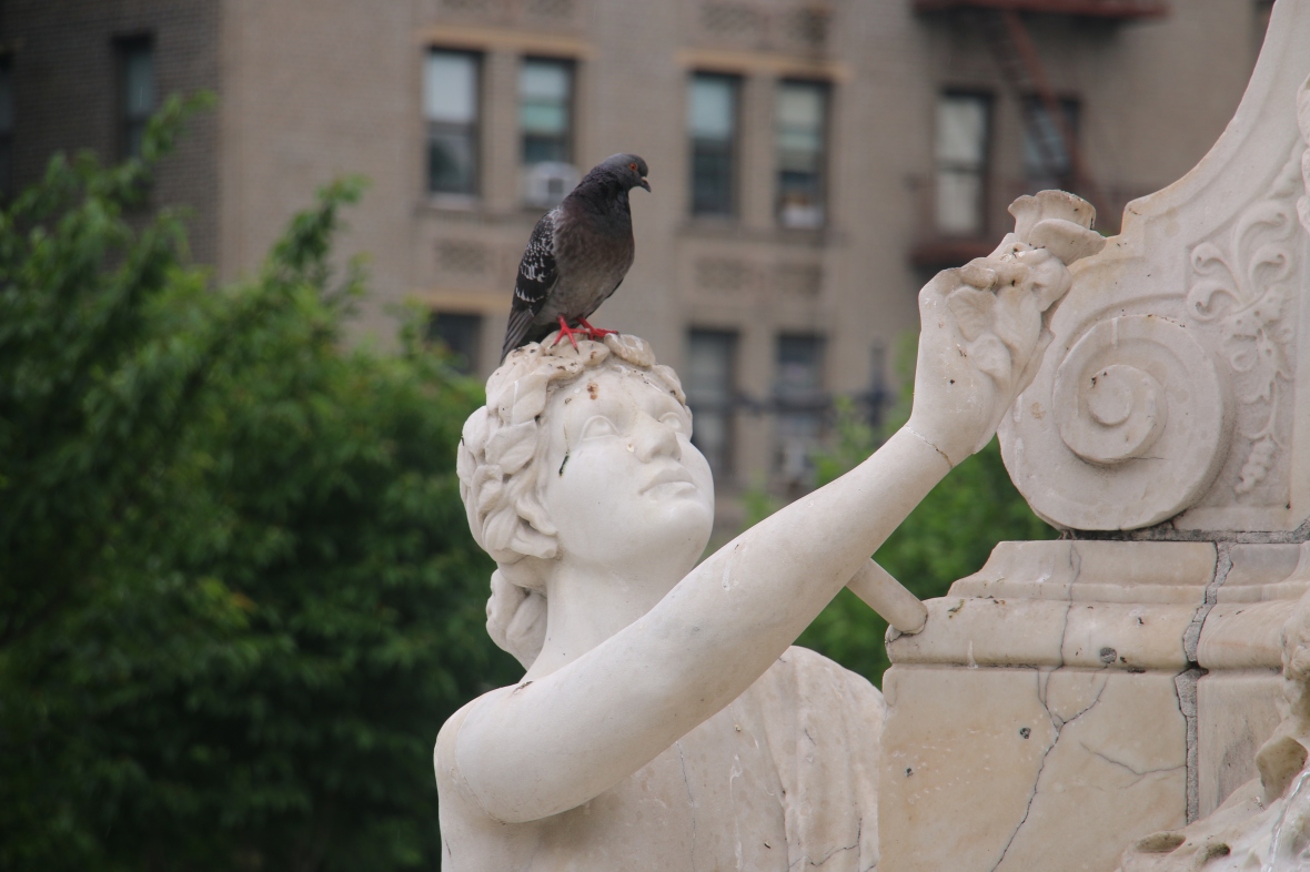 Spring 2016: Nature In Gotham: The Lady & Her Pigeon